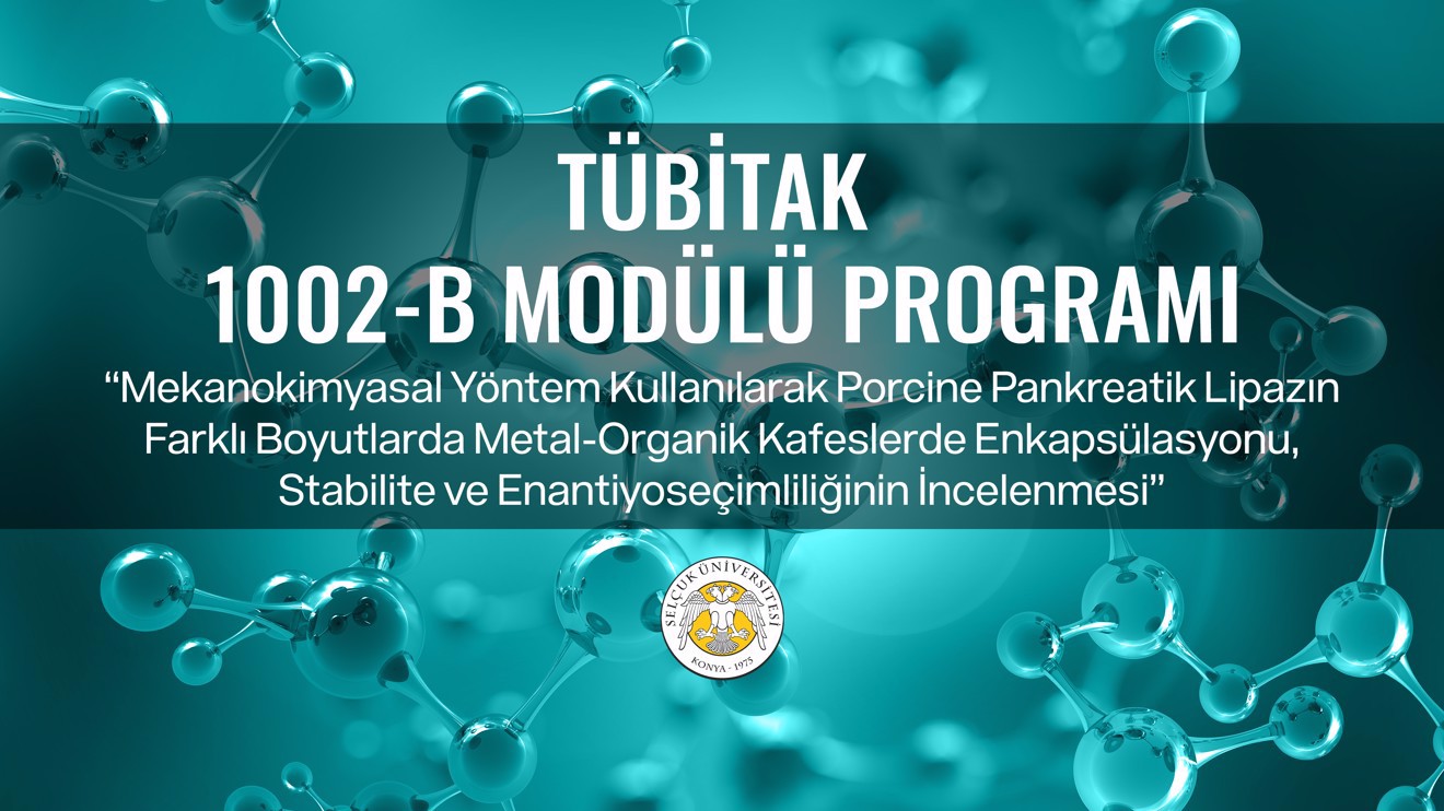 TÜBİTAK 1002-B Acil Destek Modülü